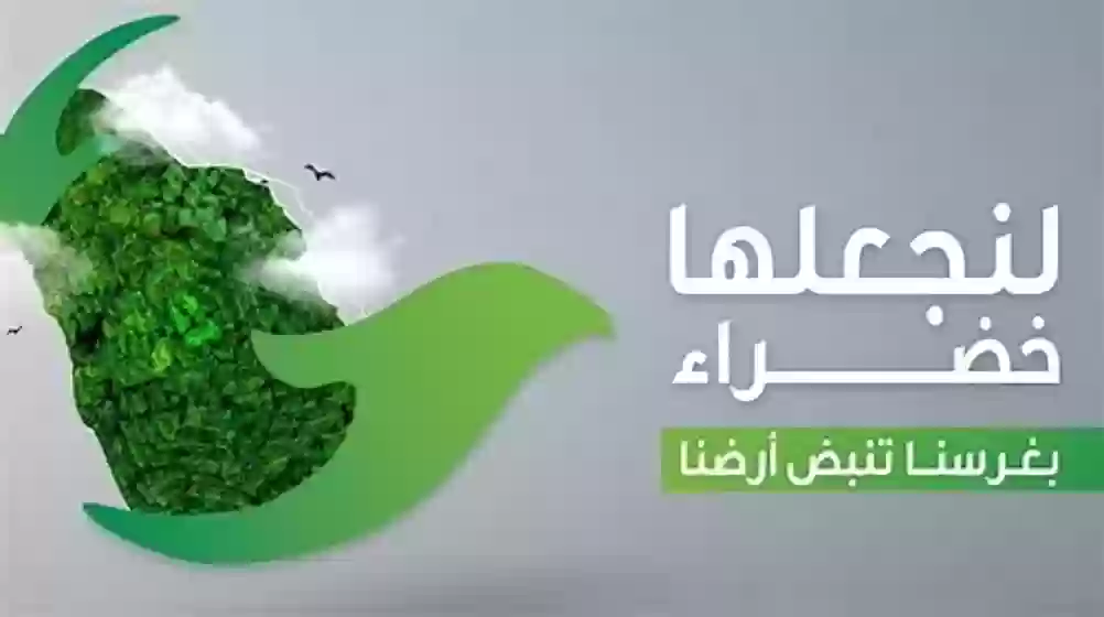 المركز  الوطني  لِتنمية  الغطاء  النباتي