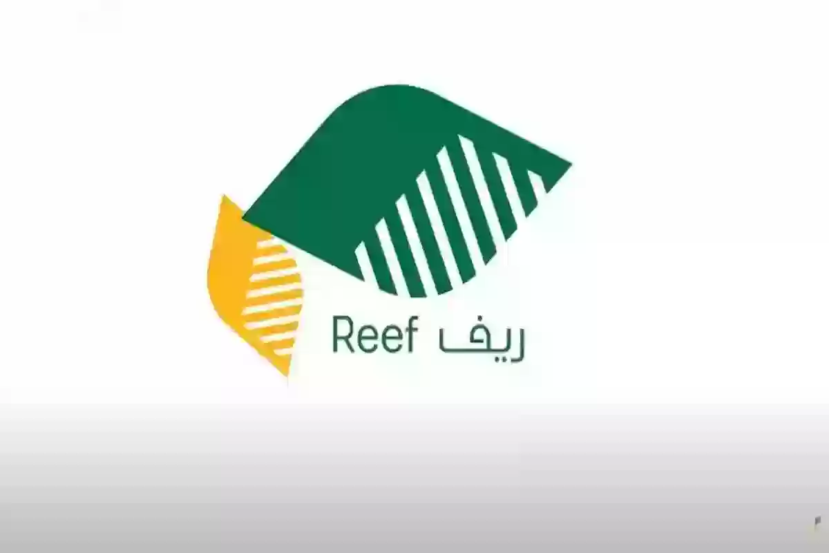 حسب كمية الإنتاج | اعرف كم تستحق من الدعم عبر الحاسبة التقديرية ريف - Saudi Reef