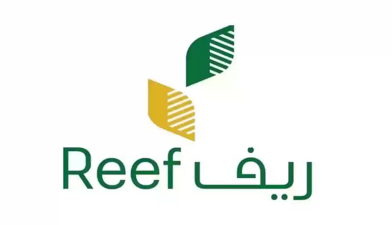 رابط وخطوات تسجيل الدخول دعم ريفreef.gov.sa لجميع المستفيدين