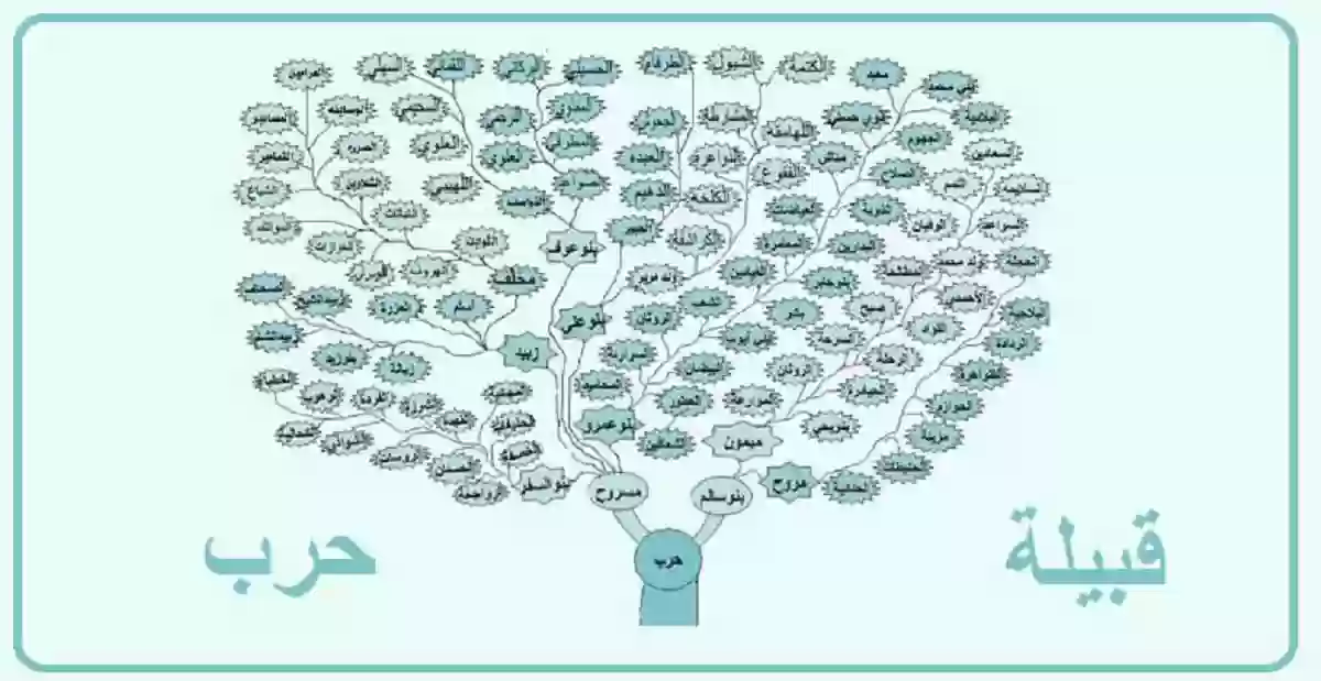 عدد قبيلة حرب في السعودية  نسب قبيلة حرب