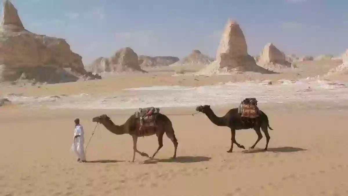 العولقي وش يرجع؟