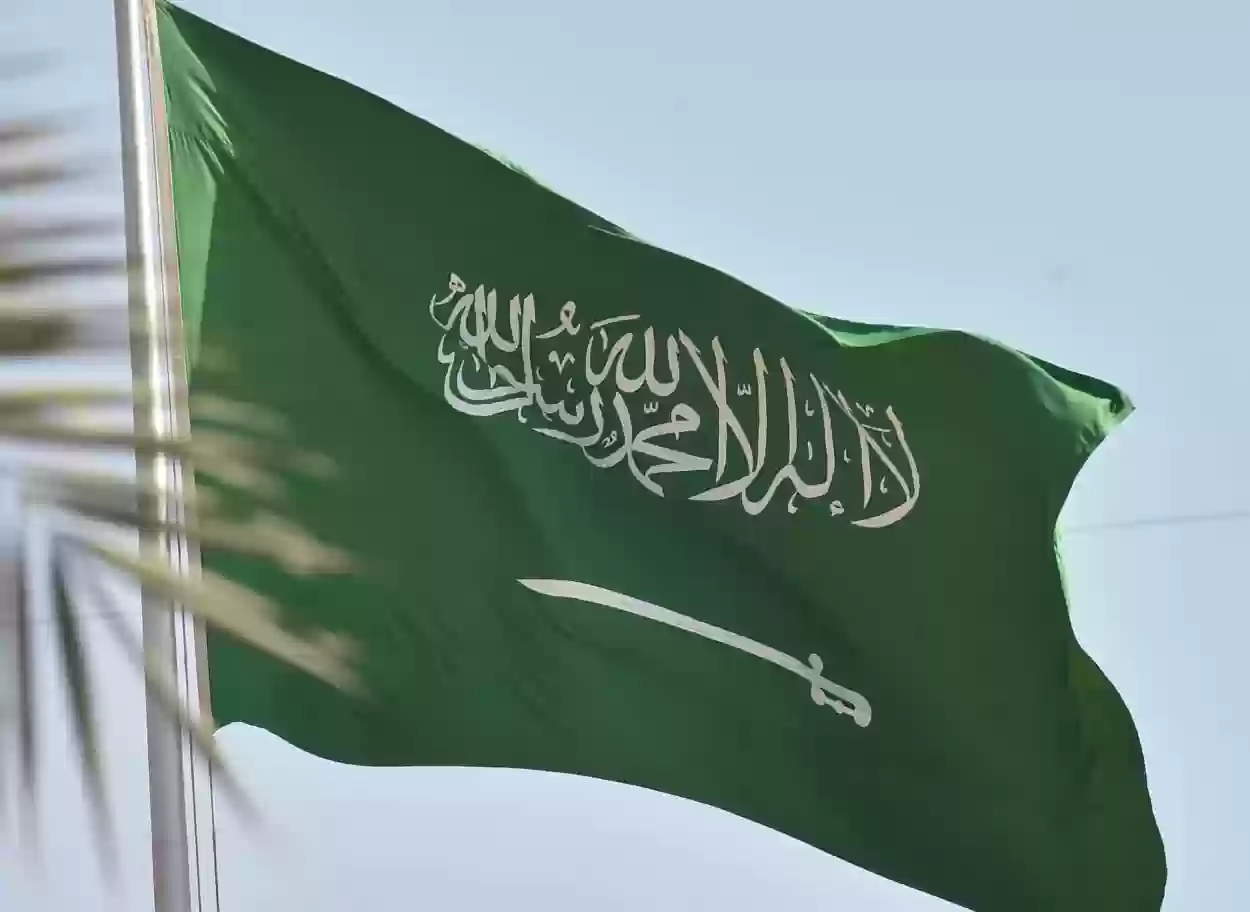 السعدون وش يرجعون ، أصل وديرة السعدون