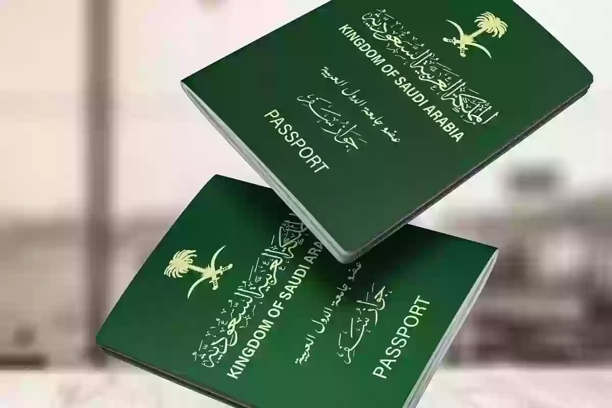 خطوات الاستعلام عن تأشيرة السعودية 1445برقم الجواز