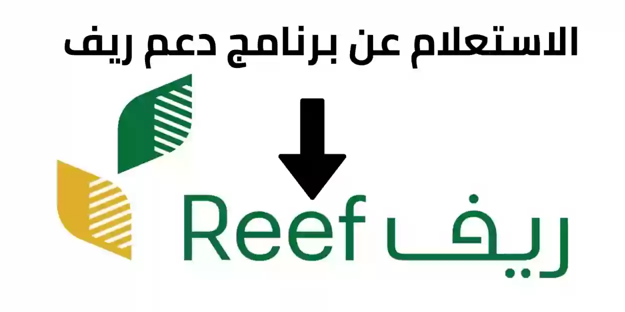 الاستعلام عن دعم ريف عن طريق النفاذ الوطني